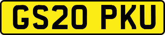 GS20PKU