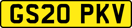 GS20PKV