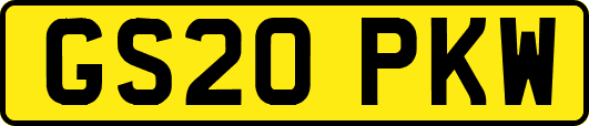 GS20PKW