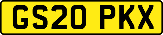 GS20PKX