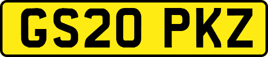 GS20PKZ