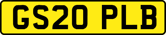 GS20PLB
