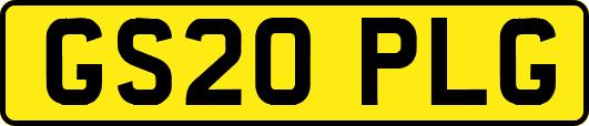 GS20PLG