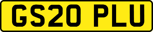GS20PLU