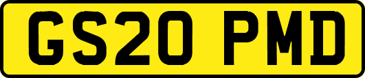 GS20PMD