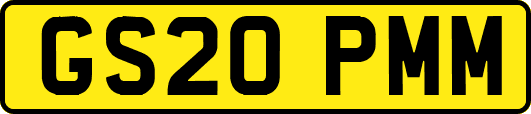 GS20PMM