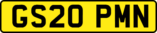 GS20PMN