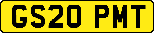 GS20PMT