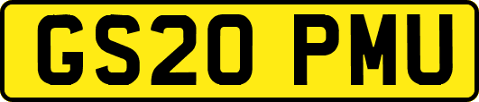 GS20PMU