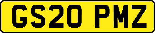 GS20PMZ