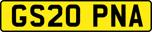 GS20PNA