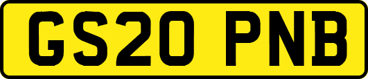 GS20PNB