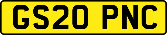 GS20PNC