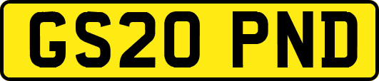 GS20PND