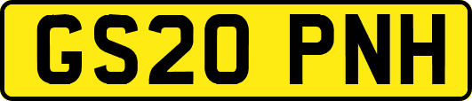 GS20PNH