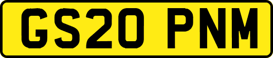 GS20PNM