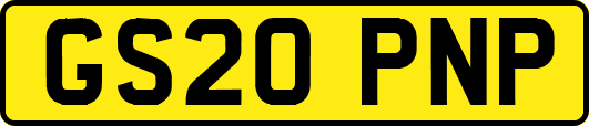 GS20PNP