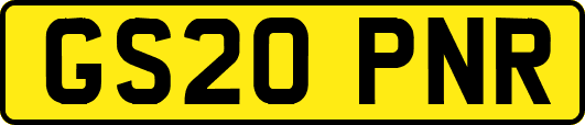 GS20PNR