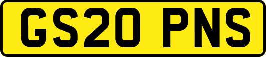 GS20PNS