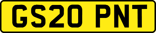 GS20PNT