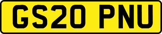 GS20PNU