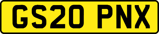 GS20PNX