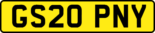 GS20PNY