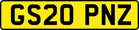 GS20PNZ