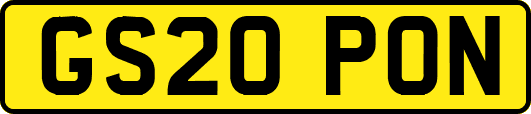 GS20PON