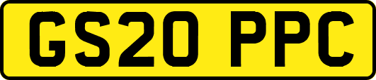 GS20PPC