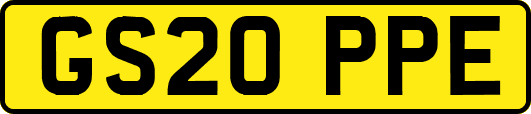 GS20PPE
