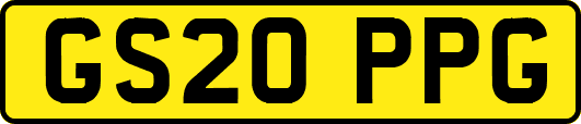 GS20PPG