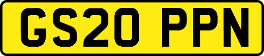 GS20PPN