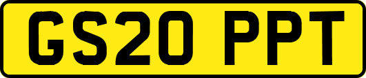 GS20PPT