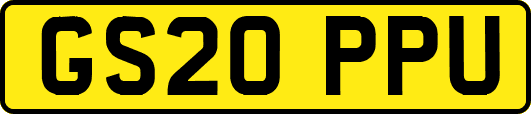 GS20PPU
