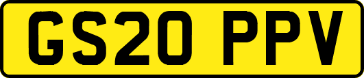 GS20PPV