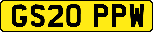 GS20PPW