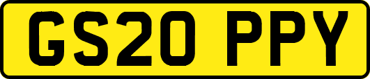 GS20PPY