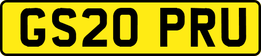 GS20PRU