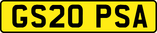 GS20PSA