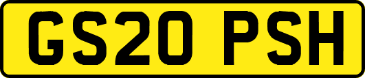 GS20PSH