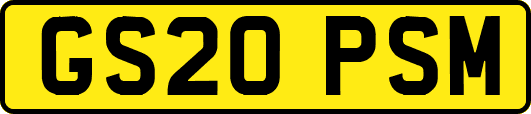 GS20PSM