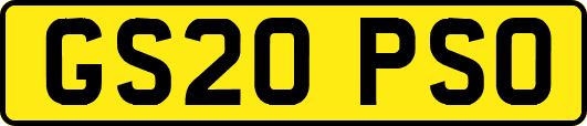 GS20PSO