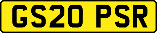 GS20PSR