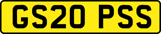 GS20PSS