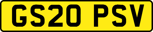 GS20PSV