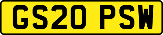 GS20PSW