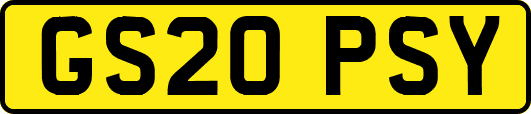 GS20PSY