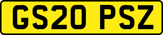 GS20PSZ