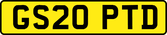 GS20PTD